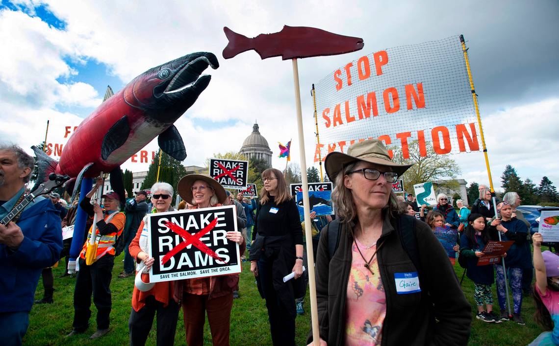 Trump halts efforts to tear out lower Snake River dams in WA and Idaho