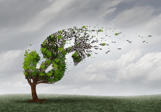 Regencell's 82,000% Surge: The $33 Billion Stock Rally That Nobody Can Explain