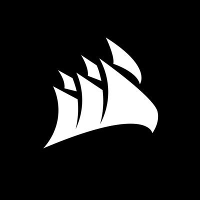Corsair Gaming Inc (CRSR) Q4 2024 Earnings Call Highlights: Navigating Challenges with ...