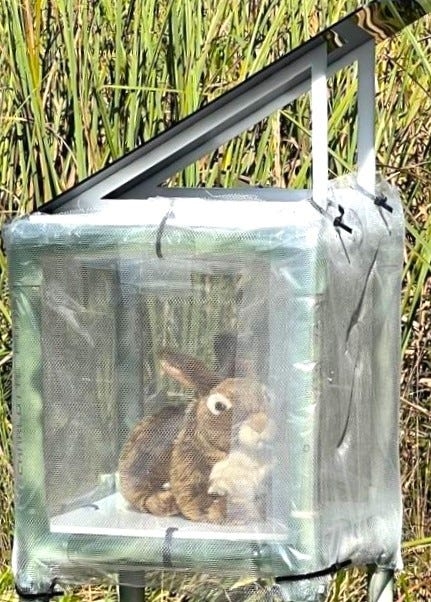 Meet the robo-bunny: This tiny, furry robot is taking on invasive pythons in Florida