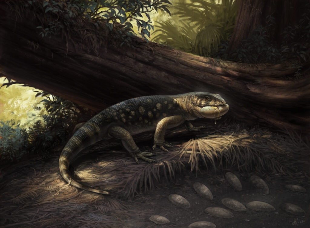 ‘Goblin prince': New monstersaur discovered in Utah reveals hidden secrets of Gila monster relatives