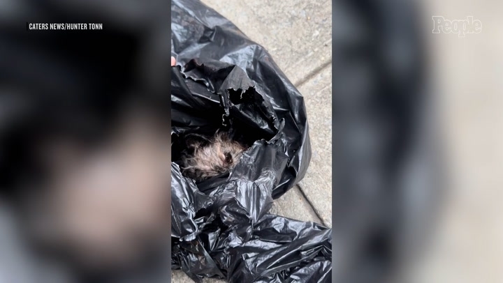New York City Woman Finds Distressed Dog with 'Broken Jaw' Discarded in 'Heavy Duty Trash Bags'