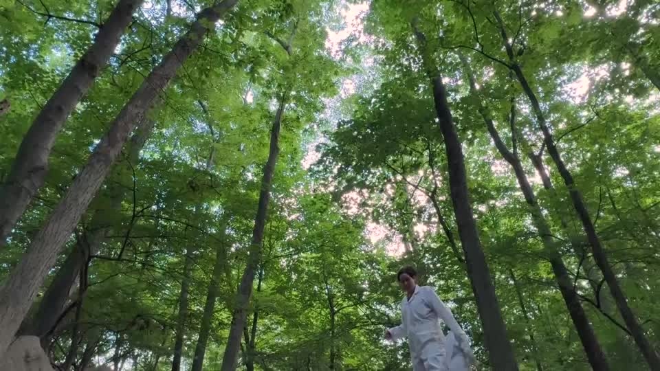 Surge of ticks in US Northeast sets off health concerns