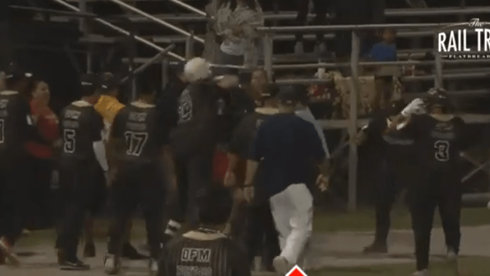 2 facing charges after players, fans brawl during Milford baseball game