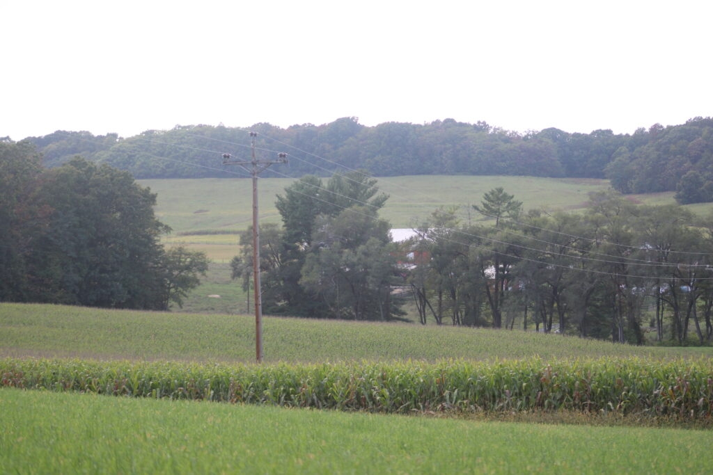 Wet spring keeps Virginia crops growing despite early summer's blazing heat