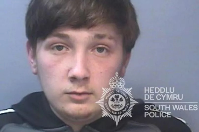 Dad shook baby so hard he caused terrible brain injuries then blamed the dog