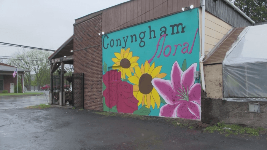 Teen artist ‘blooming' into her craft