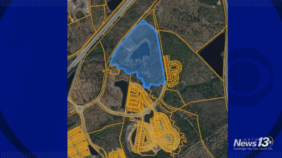 North Myrtle Beach council postpones vote on Carolina Bays housing development