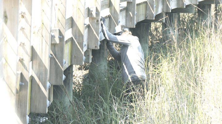 Mount Pleasant conducts underwater and above-water inspections on Shem Creek