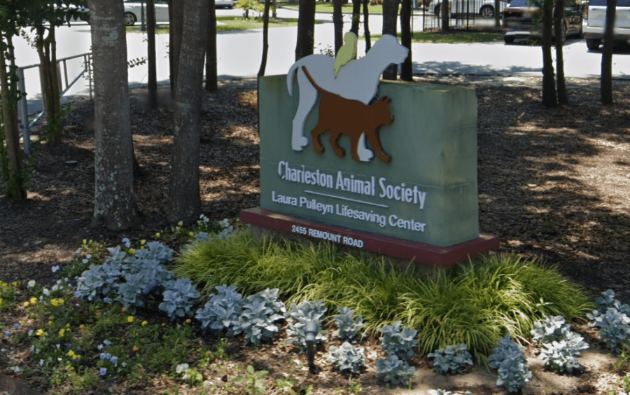 Joye Law Firm funds 150 pets for free spay/neuter services