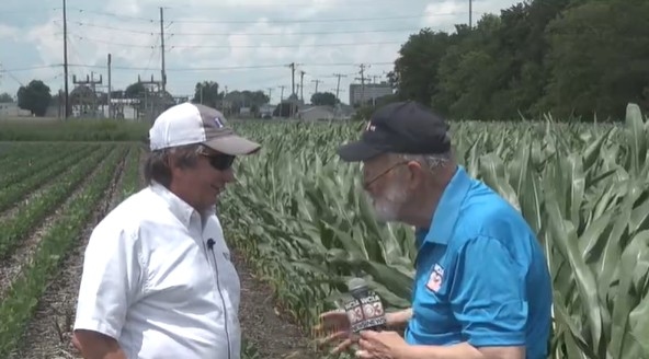 From the Farm: Crop Physiology Field Day at U of I