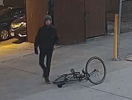 Champaign Co. Crime Stoppers looking for tips on car burglar
