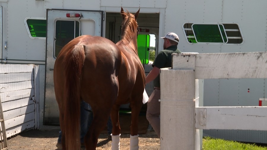 What does it take to get a horse to Churchill Downs?