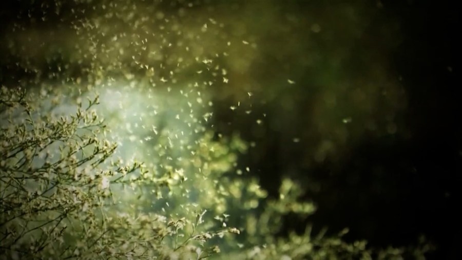 How to get ahead of spring allergy season