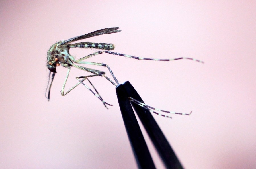 $600K+ awarded to area agencies to best mosquito viruses
