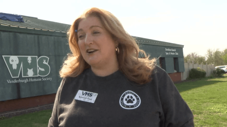 Who's in the News? Kendall Paul