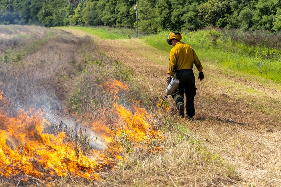 Prescribed fires planned for wildlife management areas this spring