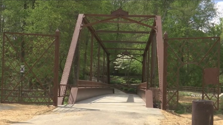 Tree seedling giveaway set for Yellow Creek Park