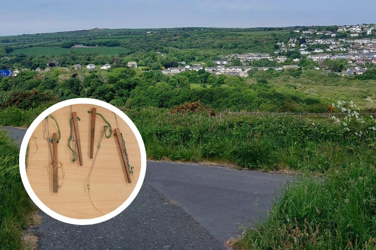 Police warning after illegal snares found at popular Pembrokeshire walking trail
