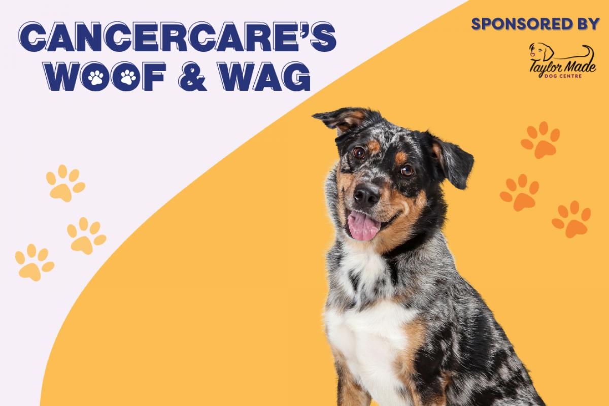 Charity dog event returning to Kendal for a second year