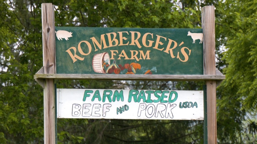 Local farmers struggle to plant due to rainy weather