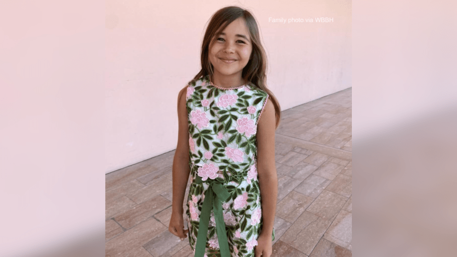 ‘It was still chasing her': 9-year-old girl attacked by shark while swimming at Florida beach