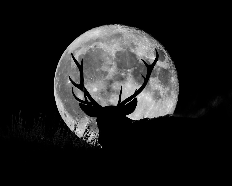 July's ‘Buck Moon': When to see the full moon and how it gets its name