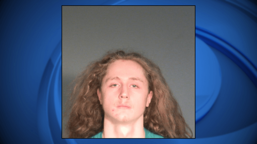 Taycheedah man accused of virtual child porn seeks dismissal of 9 counts due to alleged First Amendment violations