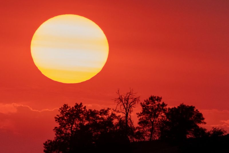 Why you'll no longer see ‘excessive heat warnings' in the forecast