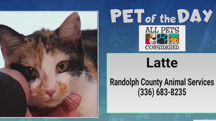 Pet of the Day: Start your day with a sweet Latte