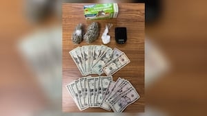 Traffic stop yields 16 grams of cocaine, 45 grams of marijuana in Champaign Co.