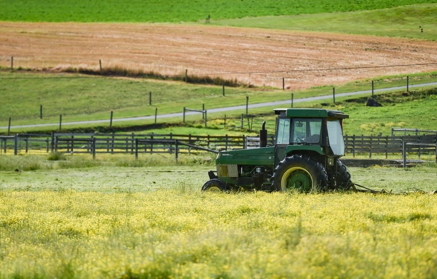 Over $21 million awarded to Pennsylvania farms and food manufacturers