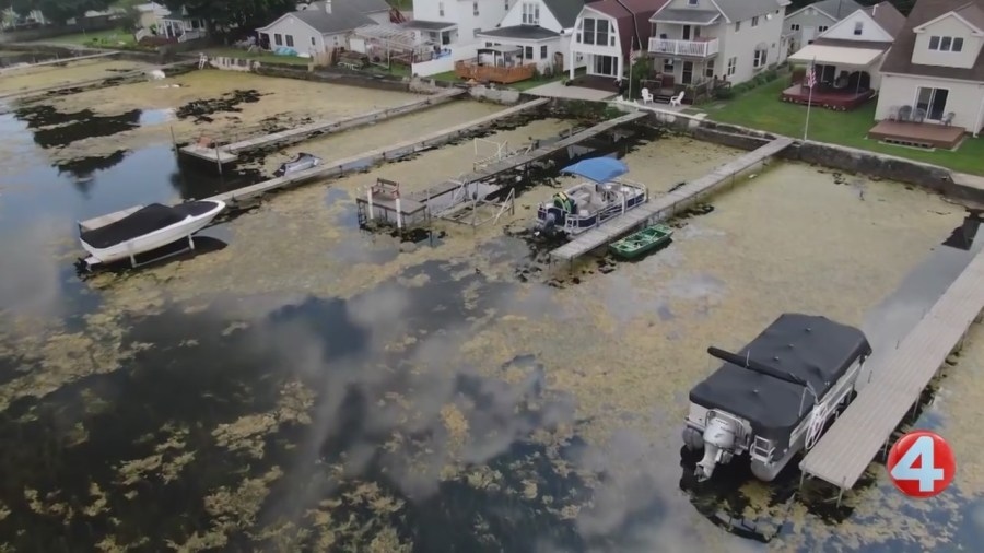 ‘Absolute nightmare': Chautauqua Lake homeowners voice concerns over algae, weeds