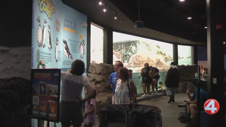 Niagara Falls businesses see fewer Canadian, European tourists this summer