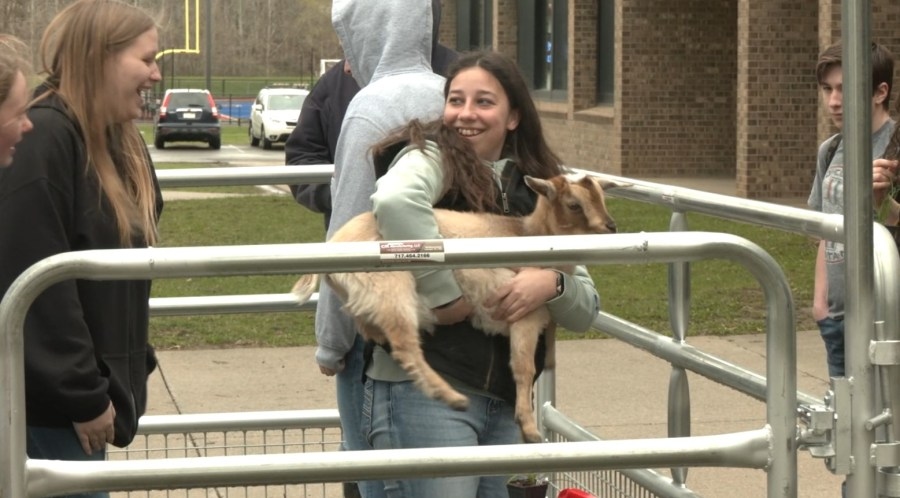 OFA students get up close and personal with local livestock