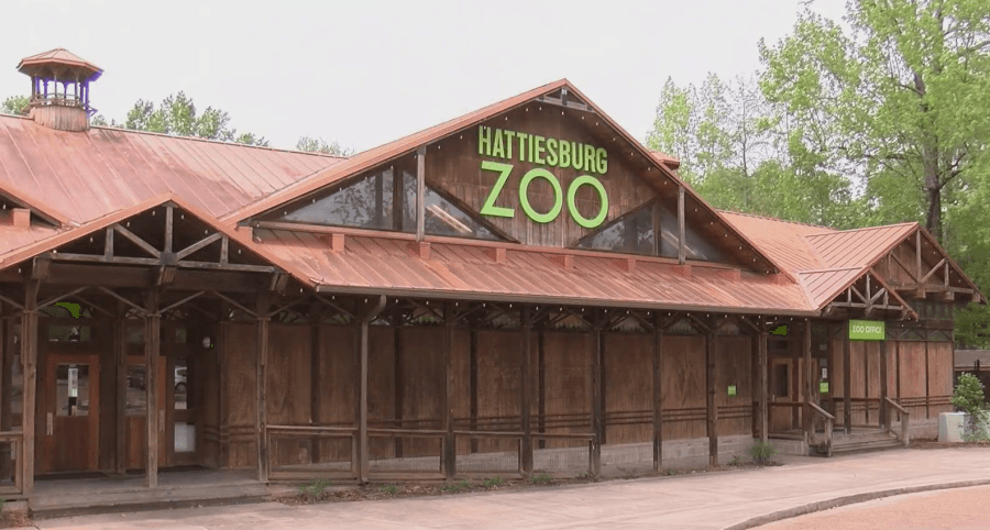Hattiesburg Zoo marks 75 years with year-long wildlife festivities