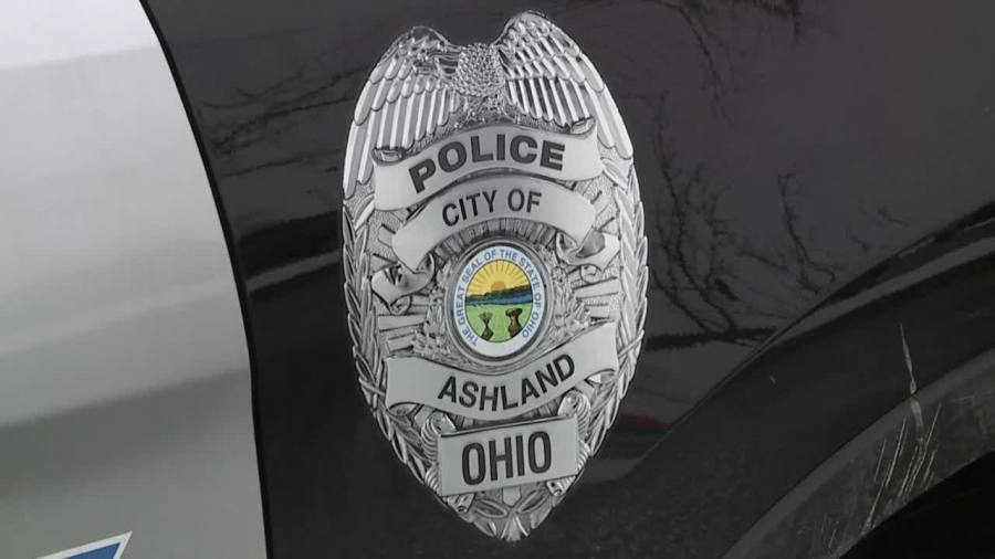 Local police investigate shootings of stray cats