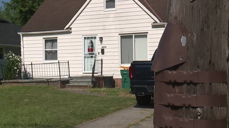 Maple Heights police kill dogs after woman mauled; witnesses say officers saved her life