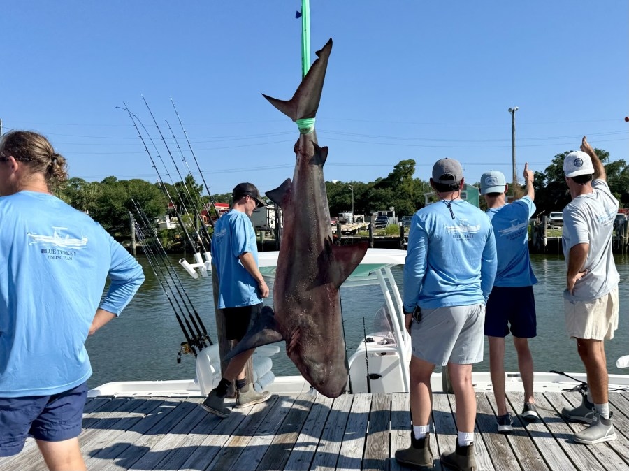 Alabama Deep Sea Fishing Rodeo helps advance marine research