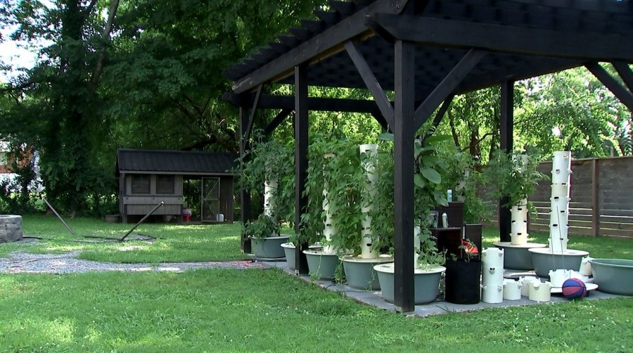 Homesteading builds connections in Nashville