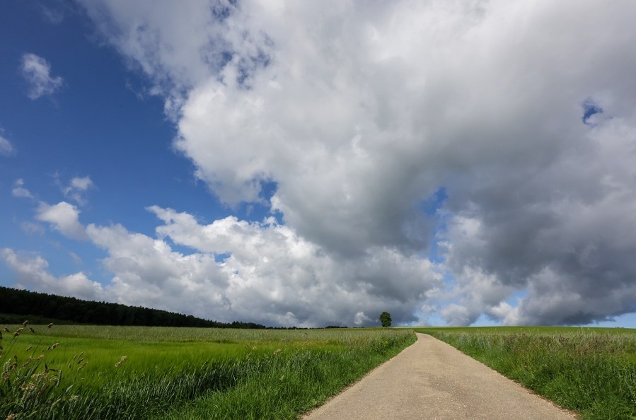 Cooler weather for the end of the week before summer-like weather returns