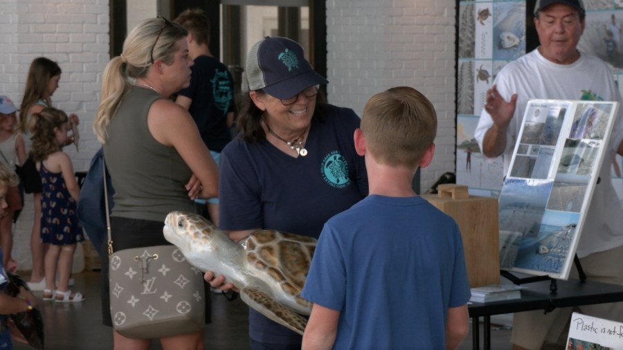 South Walton Turtle Watch teaches youth about sea turtle care