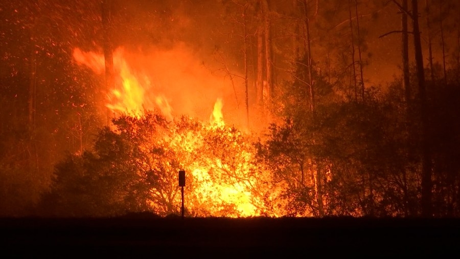 Florida Fire Service officials educate public ahead of wildfire season