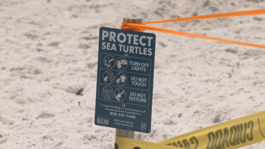 Temporary Vehicle Restrictions on Grayton Beach