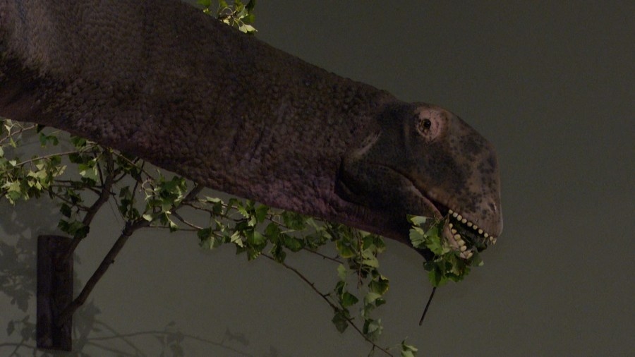Giant Dinosaurs Take Over Peoria Riverfront Museum