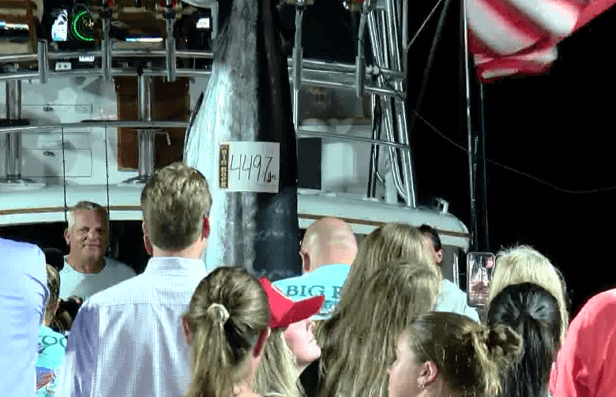 First blue marlin of 67th Big Rock Tournament has been submitted