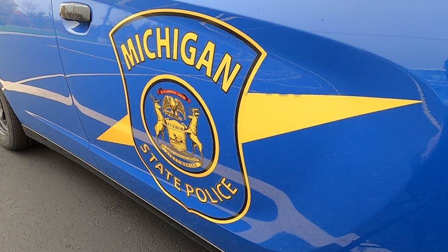 Troopers look for driver of hit-and-run on US-131