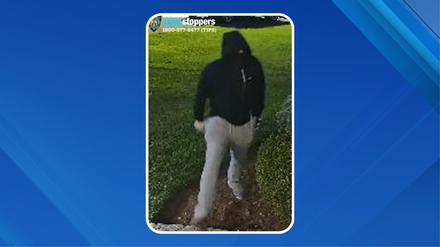 Staten Island thief stole over $60k worth of jewelry, money: NYPD