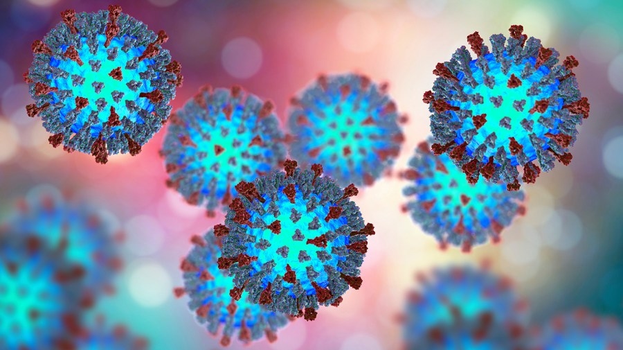 12 Health: What you should know about the measles