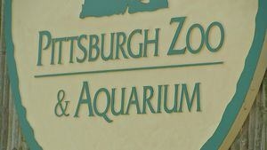 Pittsburgh Zoo & Aquarium becomes ‘storm ready,' recognized by National Weather Service